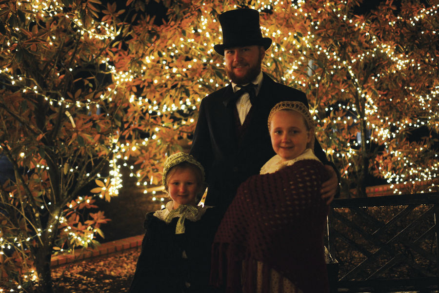 J-ToG-tree lighting_3492.jpg